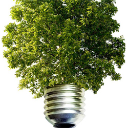 Energiepolitik, Nationaler Emissionshandel und Auswirkungen auf Unternehmen