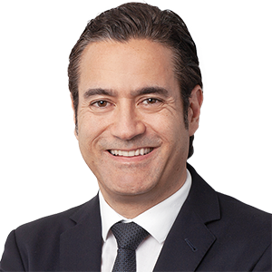 Gilles Le Van - Vice President Large Industries and Energy Transition Central Europe Air Liquide